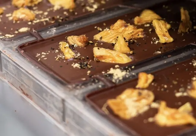 Chocholate Museum Entry Workshop Experience