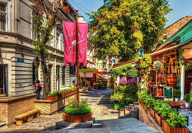 Downtown Walking Tour Adventure