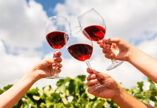 E Scooter Wine Tasting Tour