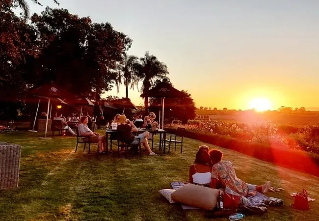 E Scooter Wine Tasting Tour