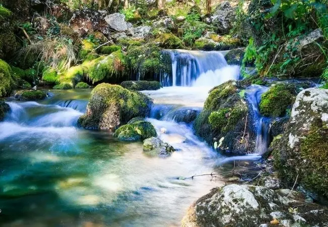 Eastern Serbia Manasija And Resava Tour