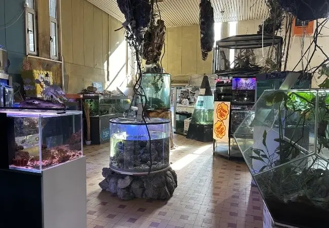 Public Aquarium Tropicarium Belgrade