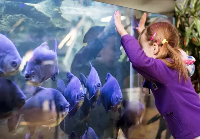 Public Aquarium Tropicarium Belgrade