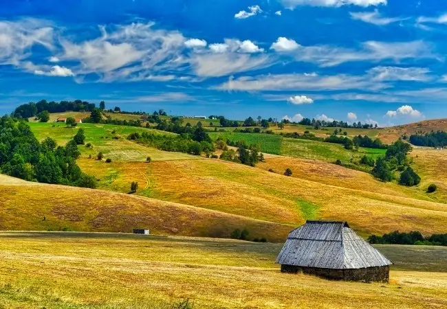 Zlatibor Tour Experience